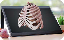 Anatomage Xtreme Reality