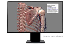 Anatomage Table on